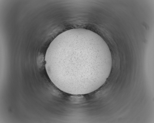X0000112920480200909141316