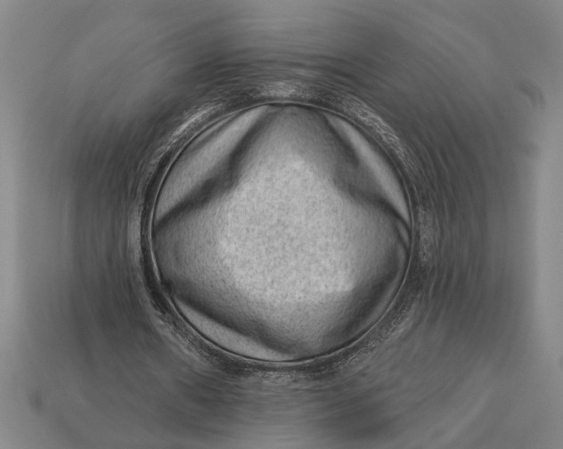 X0000112920482200909141316