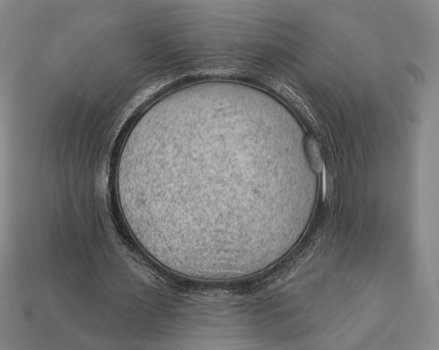 X0000112920483200909141316