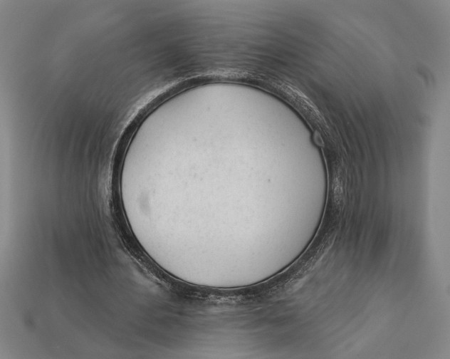 X0000112920484200909141316
