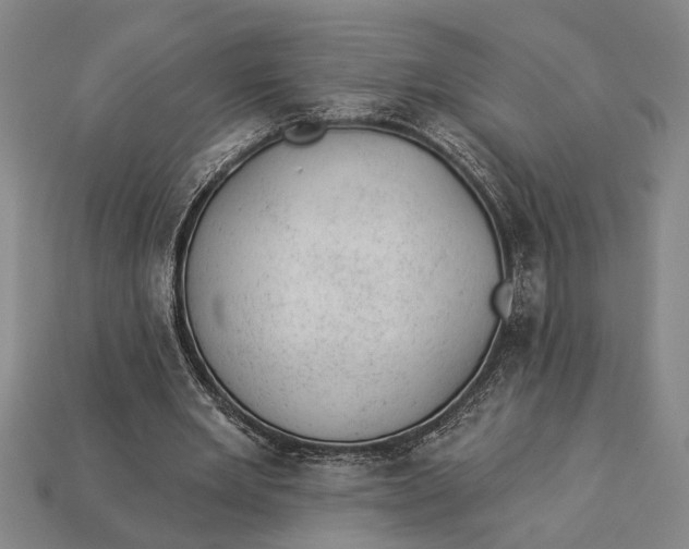 X0000112920485200909141316