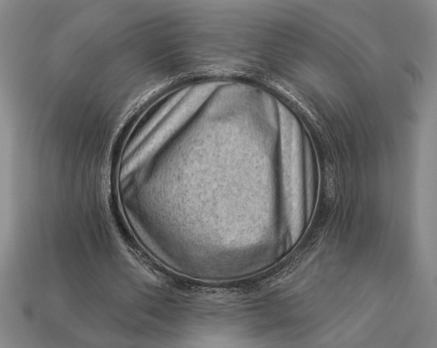 X0000112920486200909141316