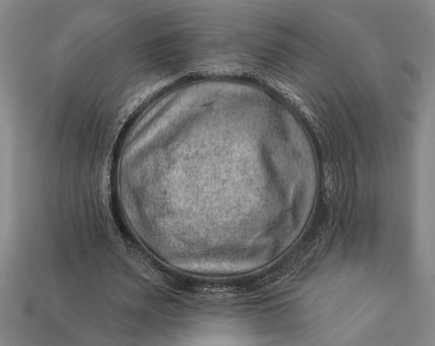 X0000112920487200909141316