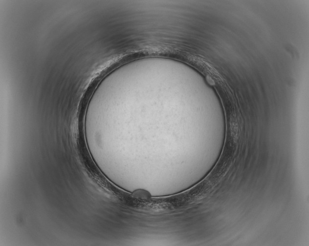 X0000112920488200909141316