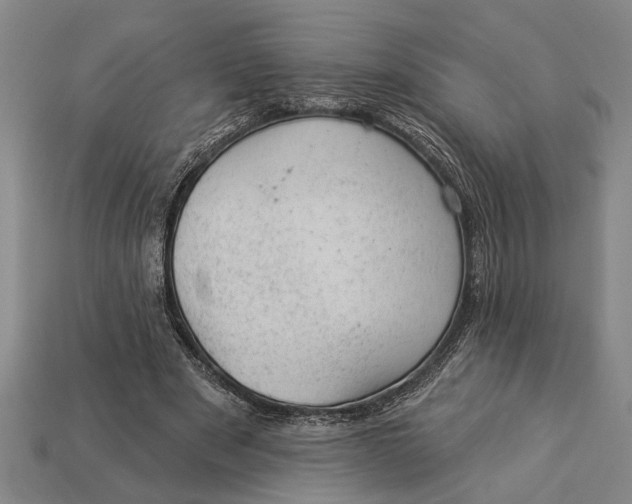 X0000112920489200909141316