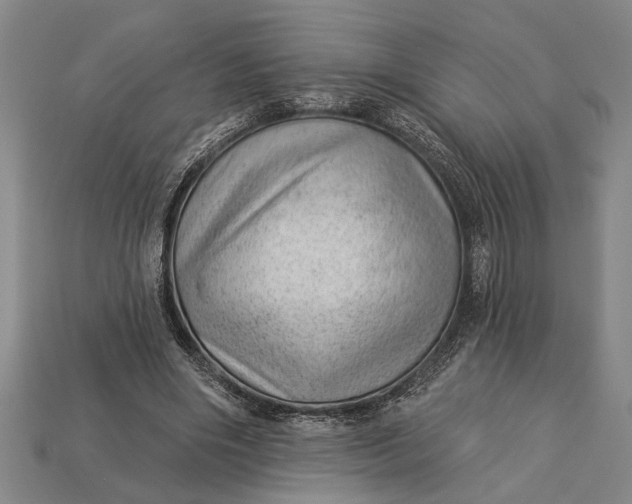 X0000112920490200909141316