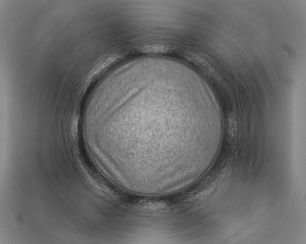 X0000112920491200909141316