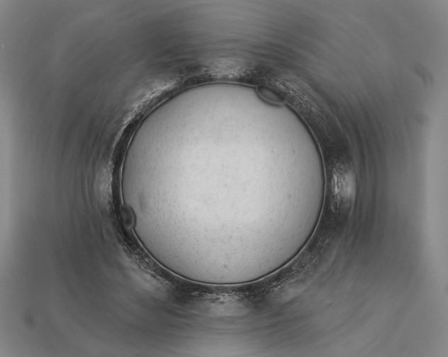 X0000112920492200909141316