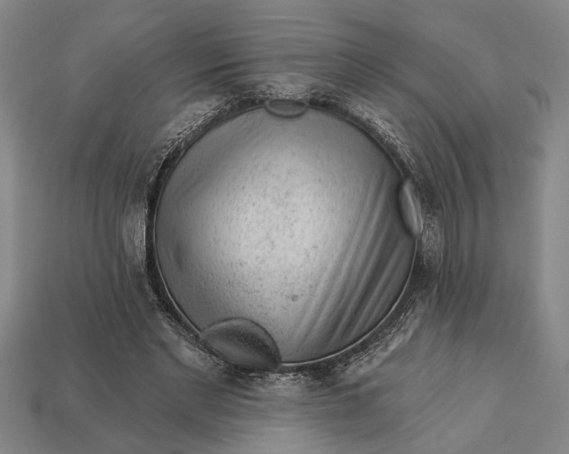 X0000112920493200909141315