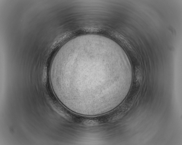 X0000112920494200909141315