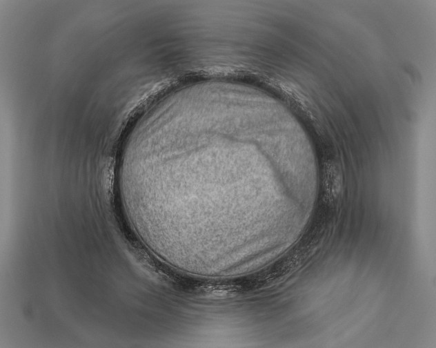 X0000112920495200909141315