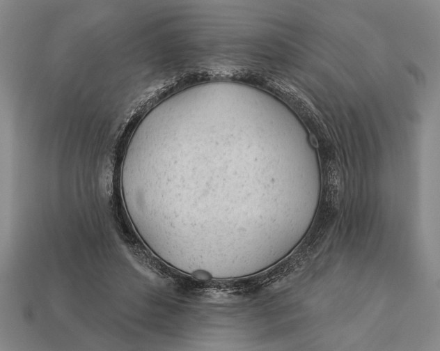 X0000112920496200909141315