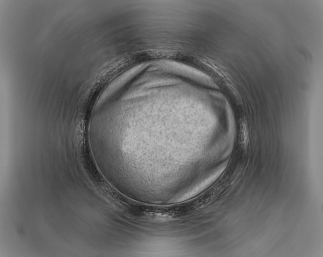 X0000112920498200909141315
