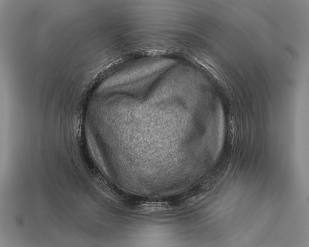 X0000112920499200909141315