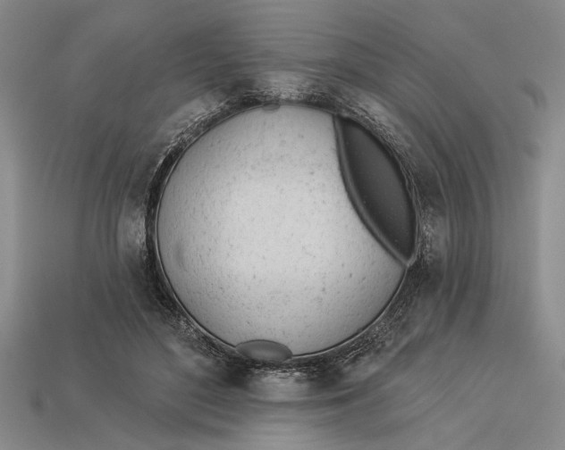 X0000112920500200909141315