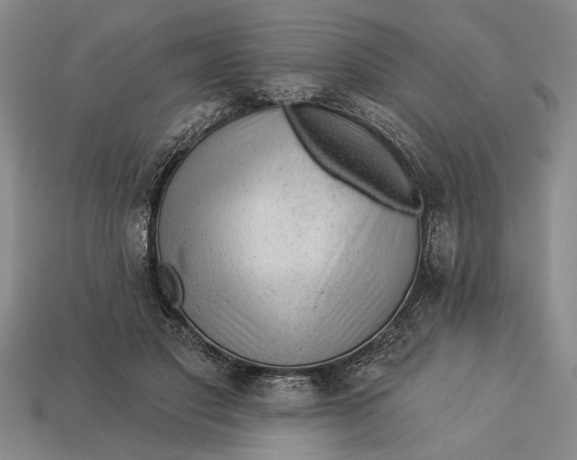 X0000112920501200909141315