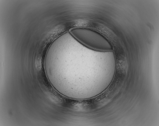 X0000112920504200909141315
