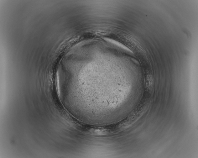 X0000112920506200909141315