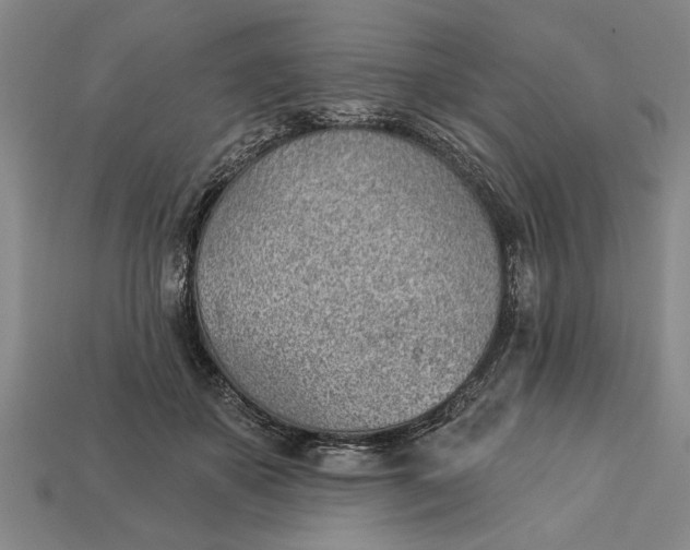 X0000112920507200909141315