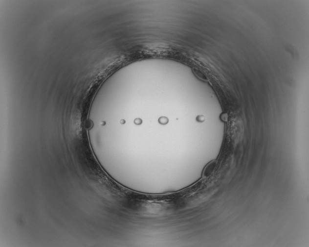 X0000112920508200909141315