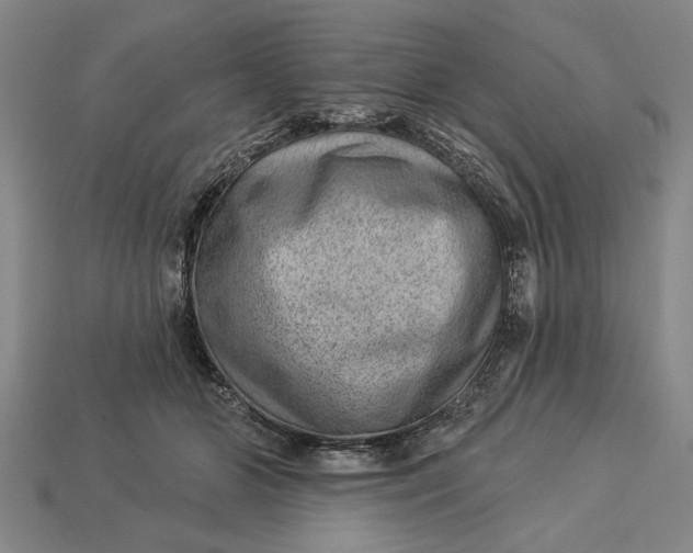 X0000112920510200909141315