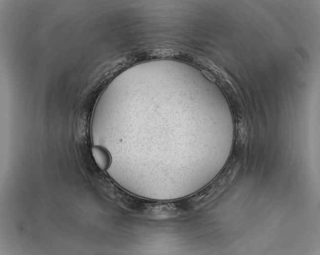 X0000112920517200909141315