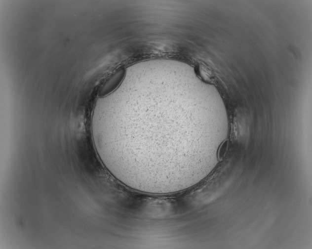 X0000112920520200909141315