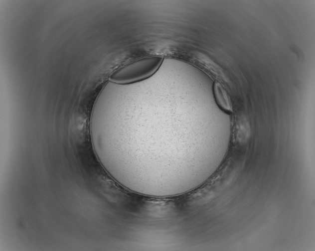 X0000112920521200909141315