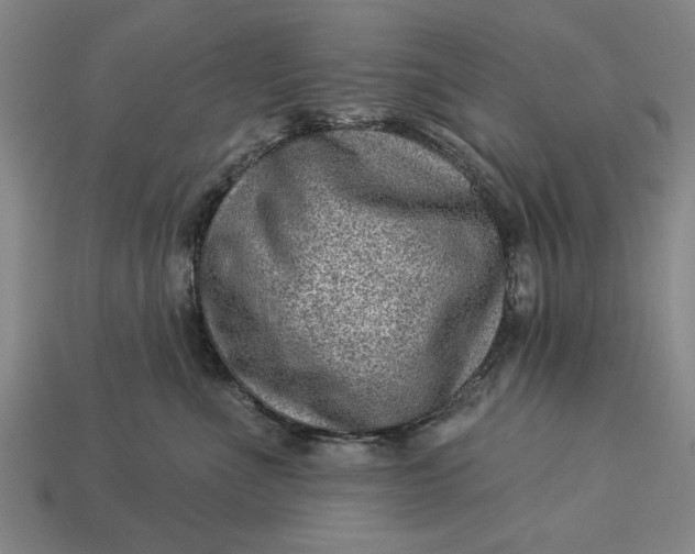 X0000112920523200909141315