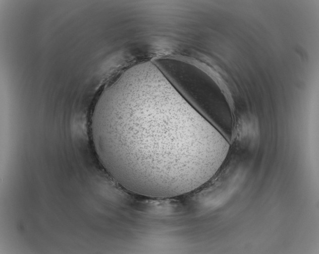 X0000112920524200909141315