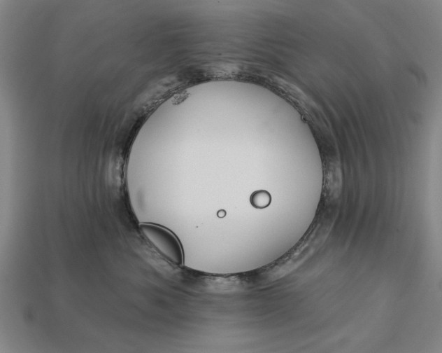X0000112920525200909141315