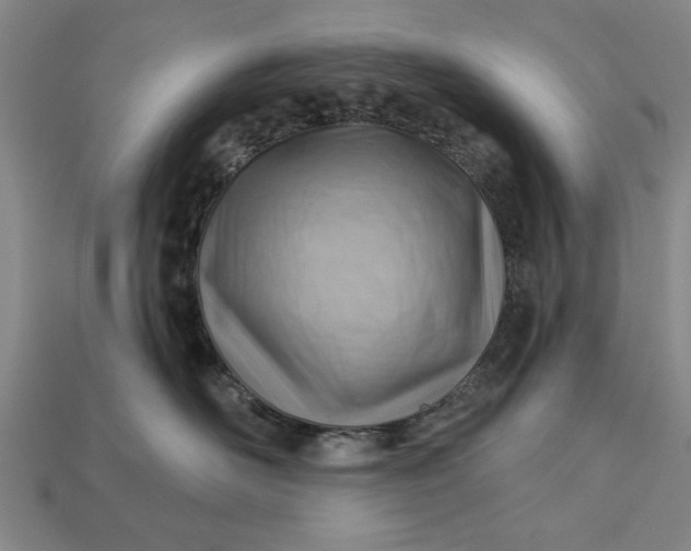 X0000112920526200909141315