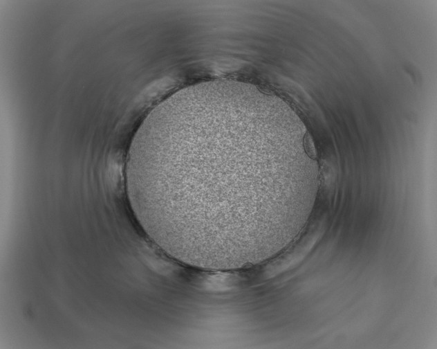 X0000112920527200909141315