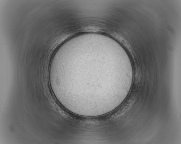 X0000112920529200909141314