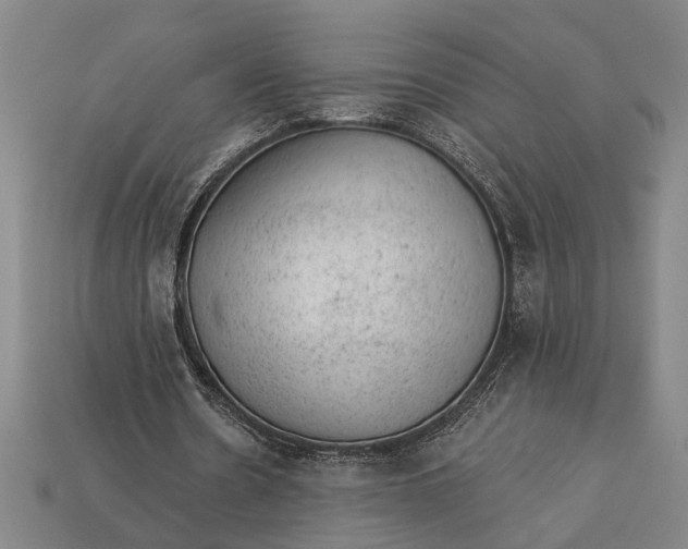 X0000112920530200909141314