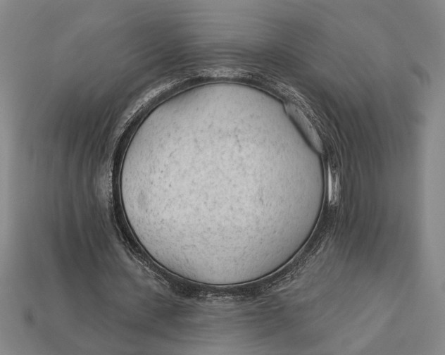 X0000112920531200909141314