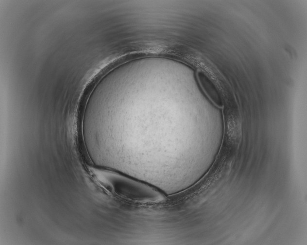X0000112920532200909141314