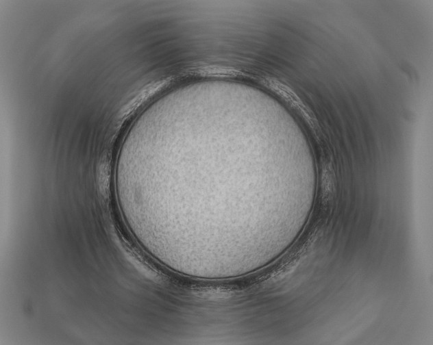 X0000112920533200909141314