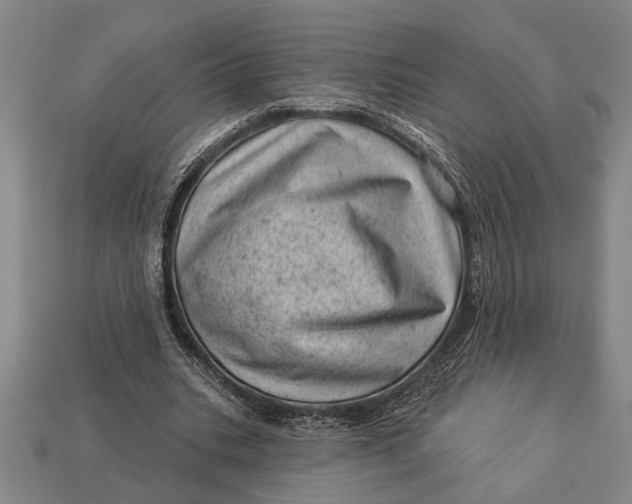 X0000112920535200909141315