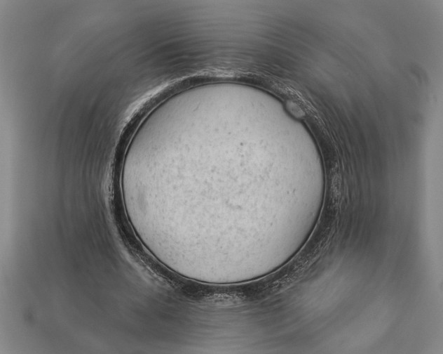 X0000112920536200909141315