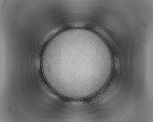 X0000112920537200909141315
