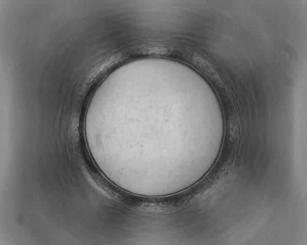 X0000112920538200909141315