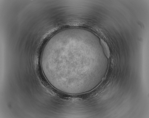 X0000112920539200909141315