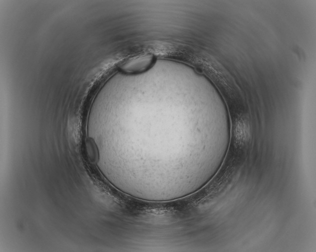 X0000112920540200909141315