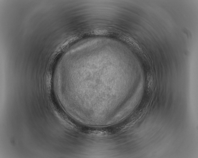 X0000112920542200909141315
