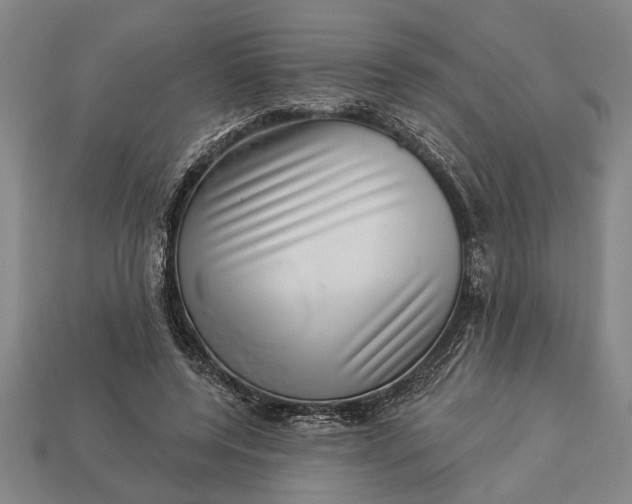 X0000112920544200909141315