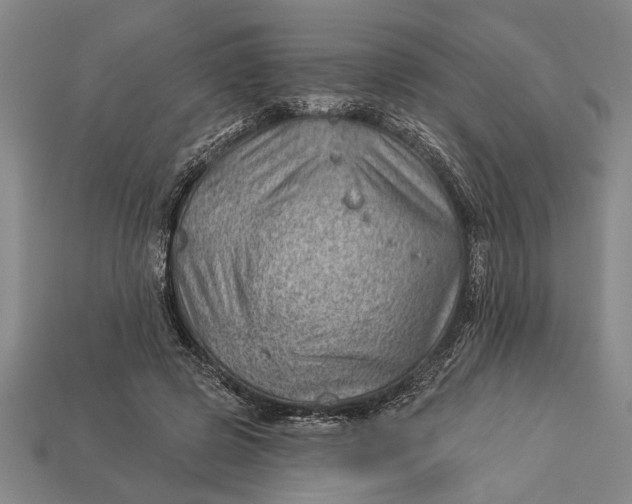 X0000112920545200909141315