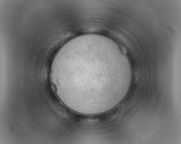 X0000112920546200909141315