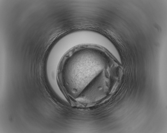 X0000112920548200909141315