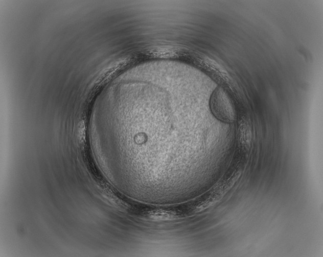 X0000112920549200909141315